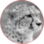 Website The Cheetah
