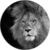Website The Lion